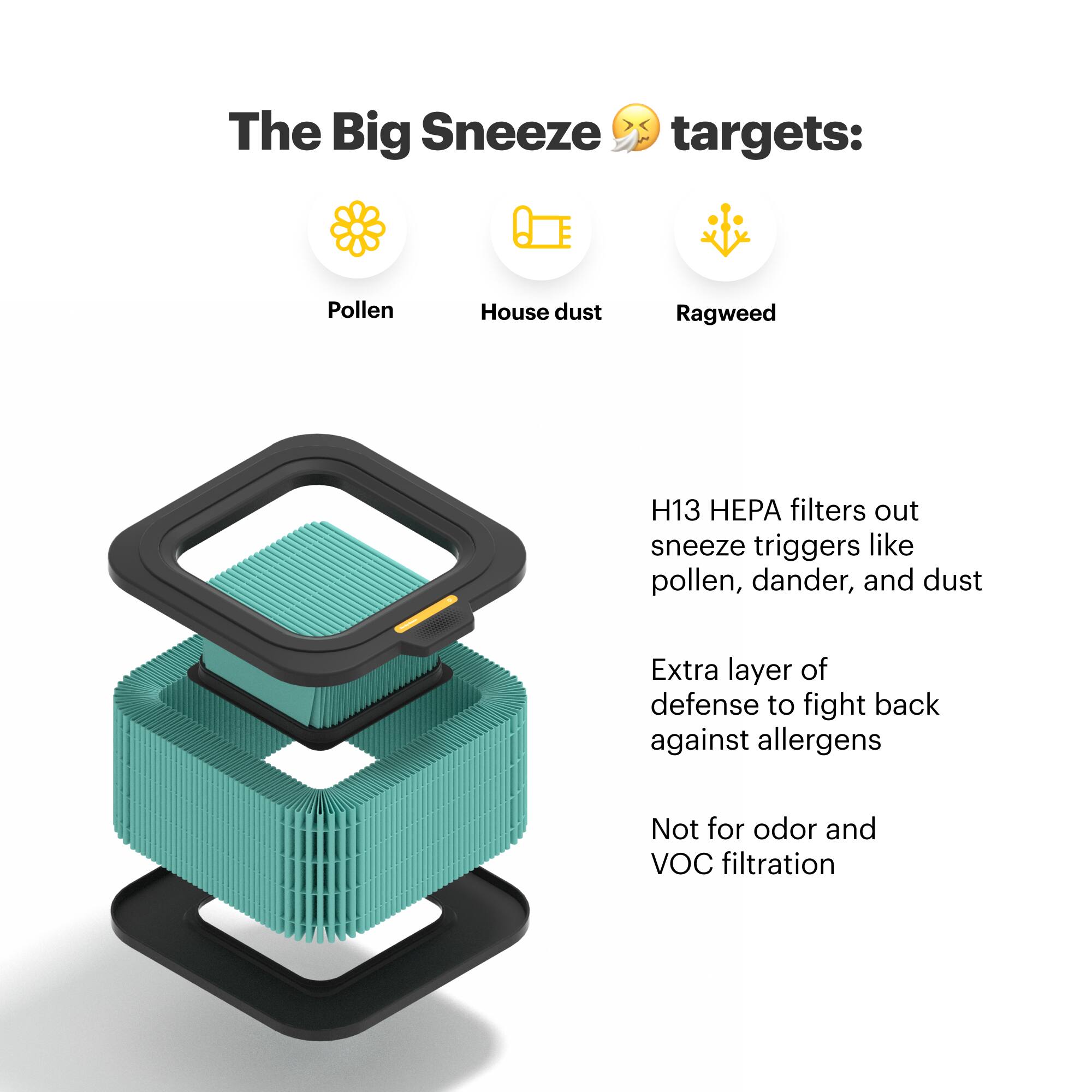 The Big Sneeze targets: Pollen, House dust, Ragweed, H13 HEPA filters out sneeze triggers like pollen, dander, and dust. It provides an extra layer of defense to fight back against allergens. However, it is not suitable for odor and VOC filtration.