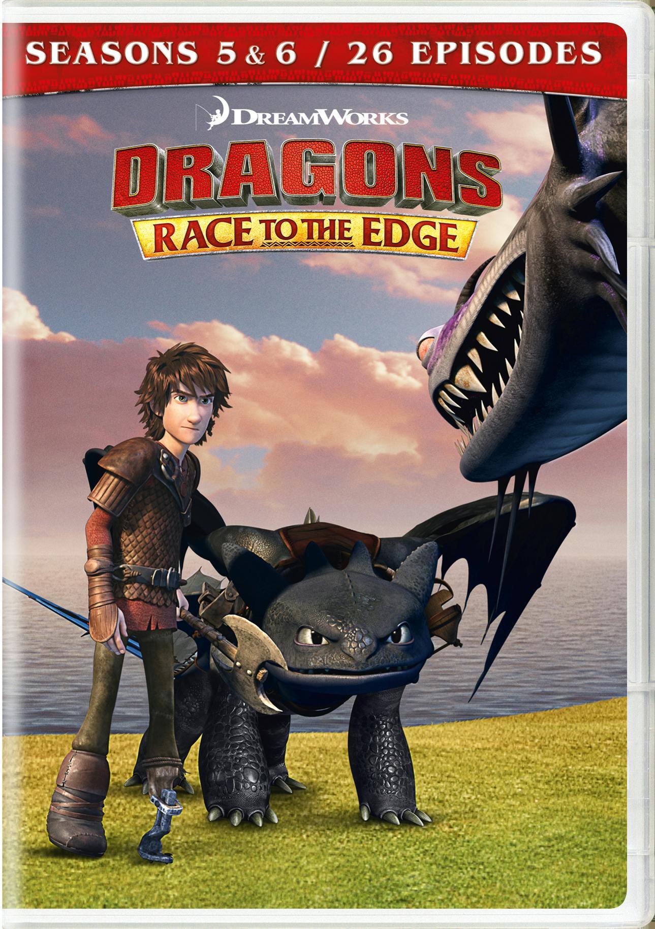 Dragons: Race to the Edge - Seasons 5 & 6 [DVD] [Standard]