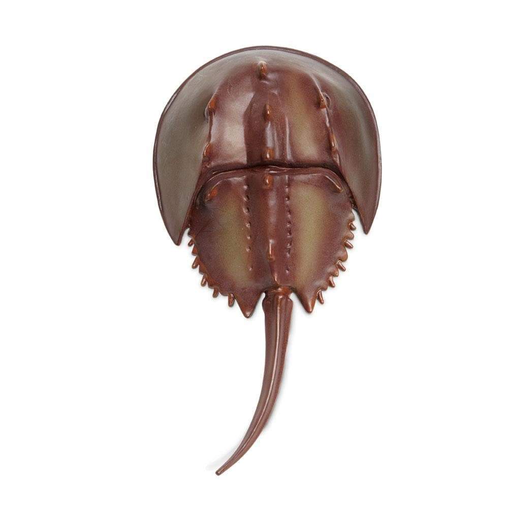 Alt View 2. Safari Ltd. - Horseshoe Crab Toy Figurine.