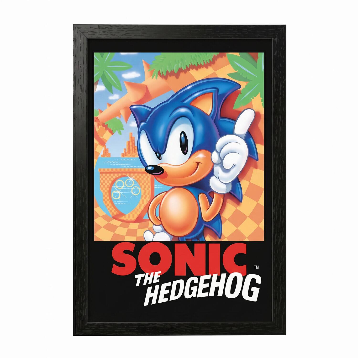 SONIC™ THE HEDGEHOG