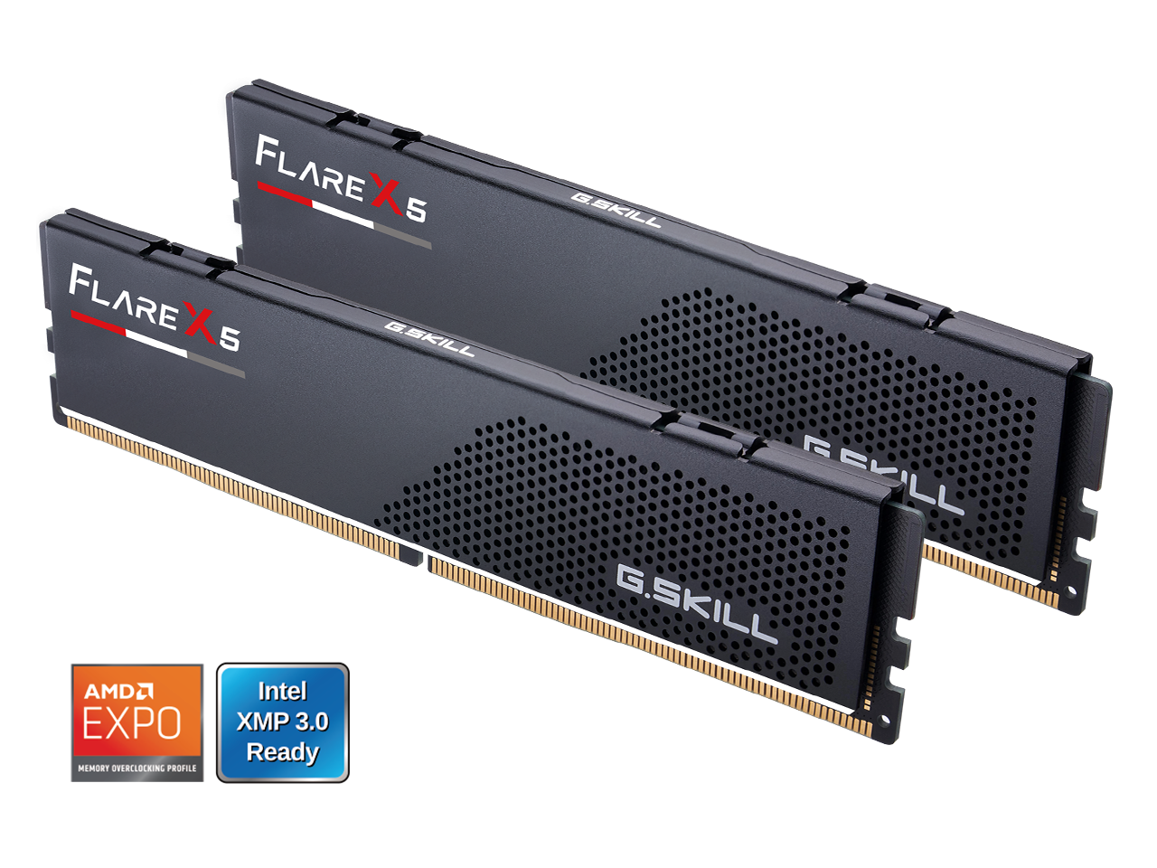 FLAREX5  
G.SKILL  

AMD EXPO  
MEMORY OVERCLOCKING PROFILE  

Intel XMP 3.0 Ready