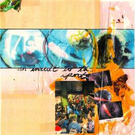 They Are Gutting a Body of Water & a Country - An Insult To The Sport - VINYL LP