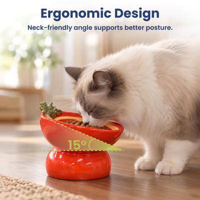 Ergonomic Design  
Neck-friendly angle supports better posture.  
15°
