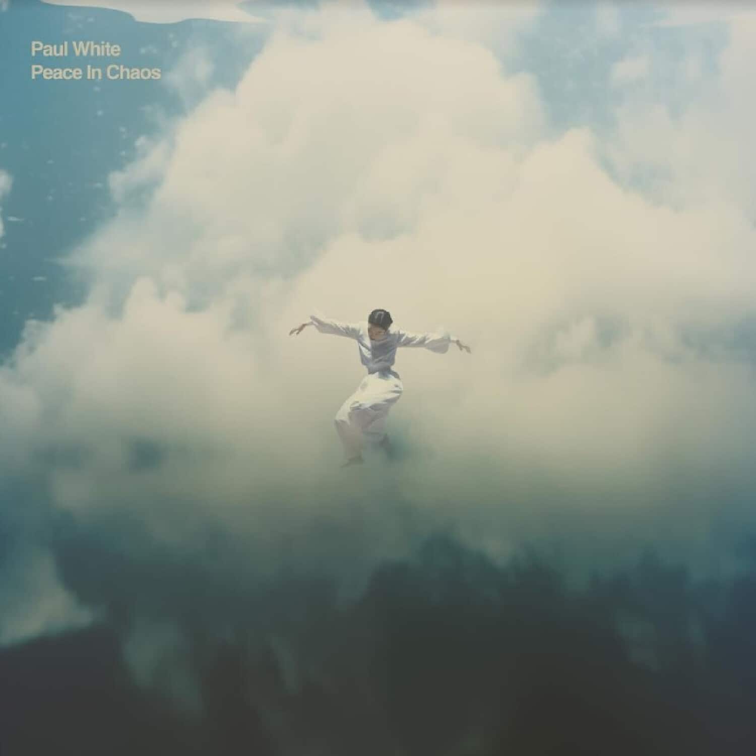Paul White - Peace In Chaos   - VINYL LP price history on PriceWatchPro