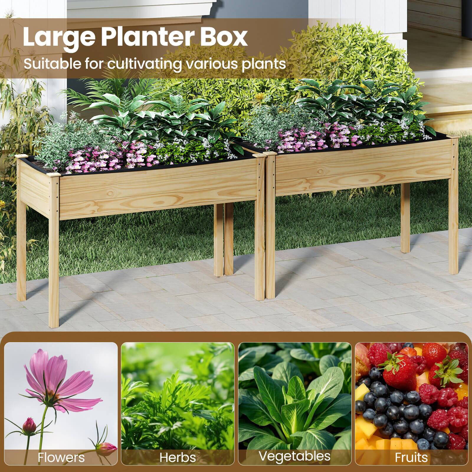 Large Planter Box  
Suitable for cultivating various plants:  
- Flowers  
- Herbs  
- Vegetables  
- Fruits