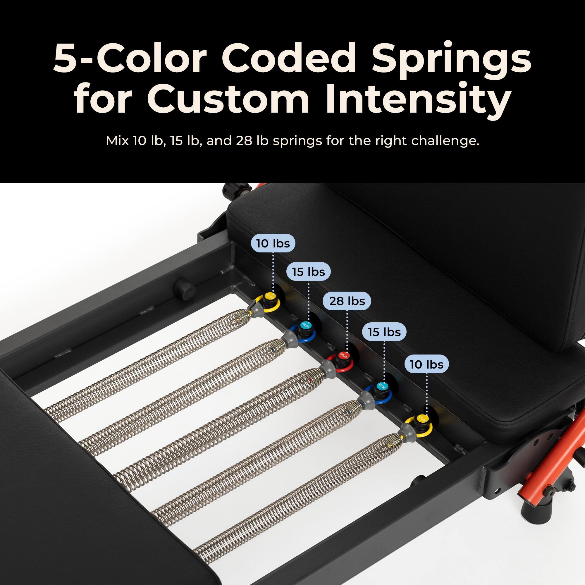 5-Color Coded Springs for Custom Intensity Mix 10 lb, 15 lb, and 28 lb springs for the right challenge.

10 lbs
15 lbs
28 lbs
15 lbs
10 lbs