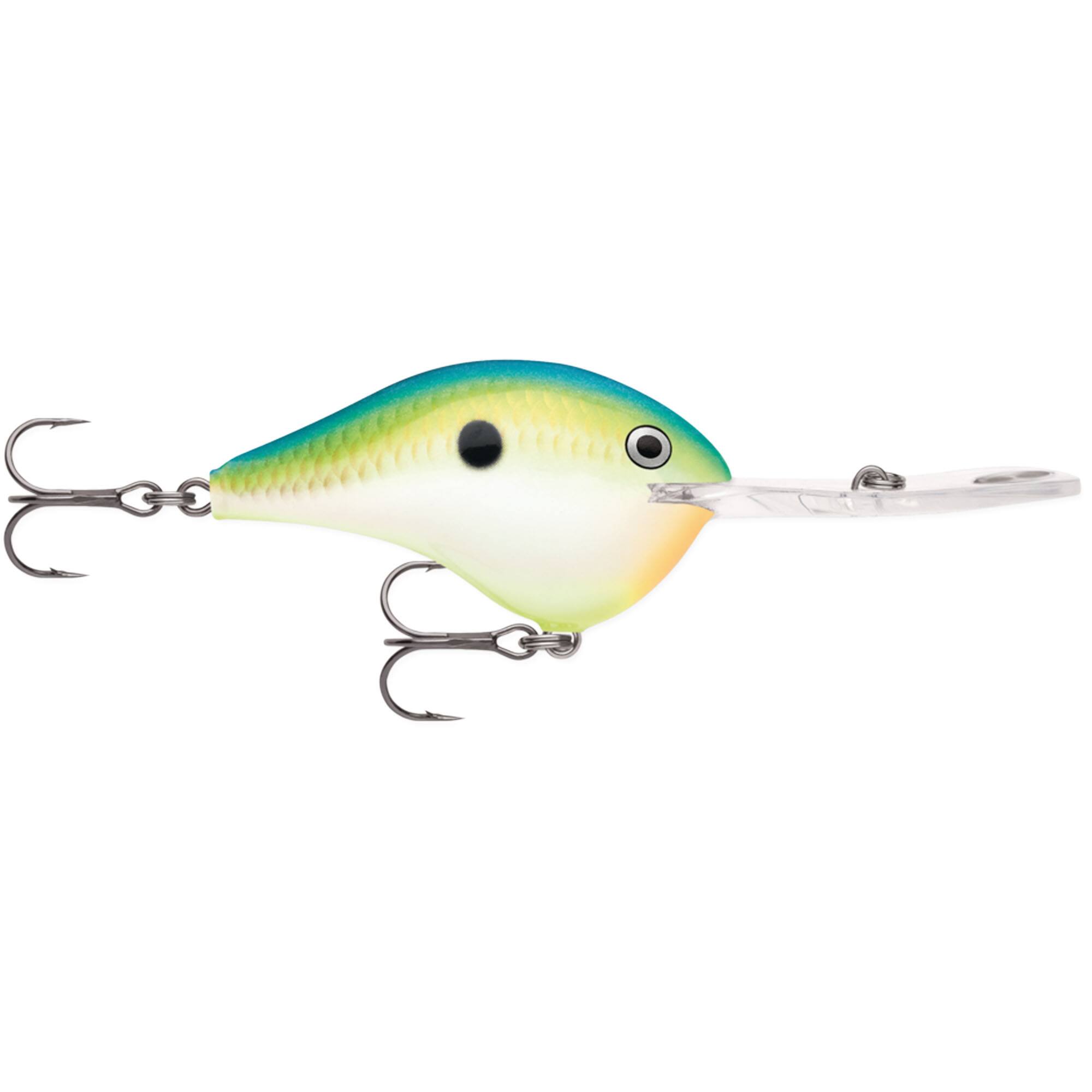 Citrus Shad
