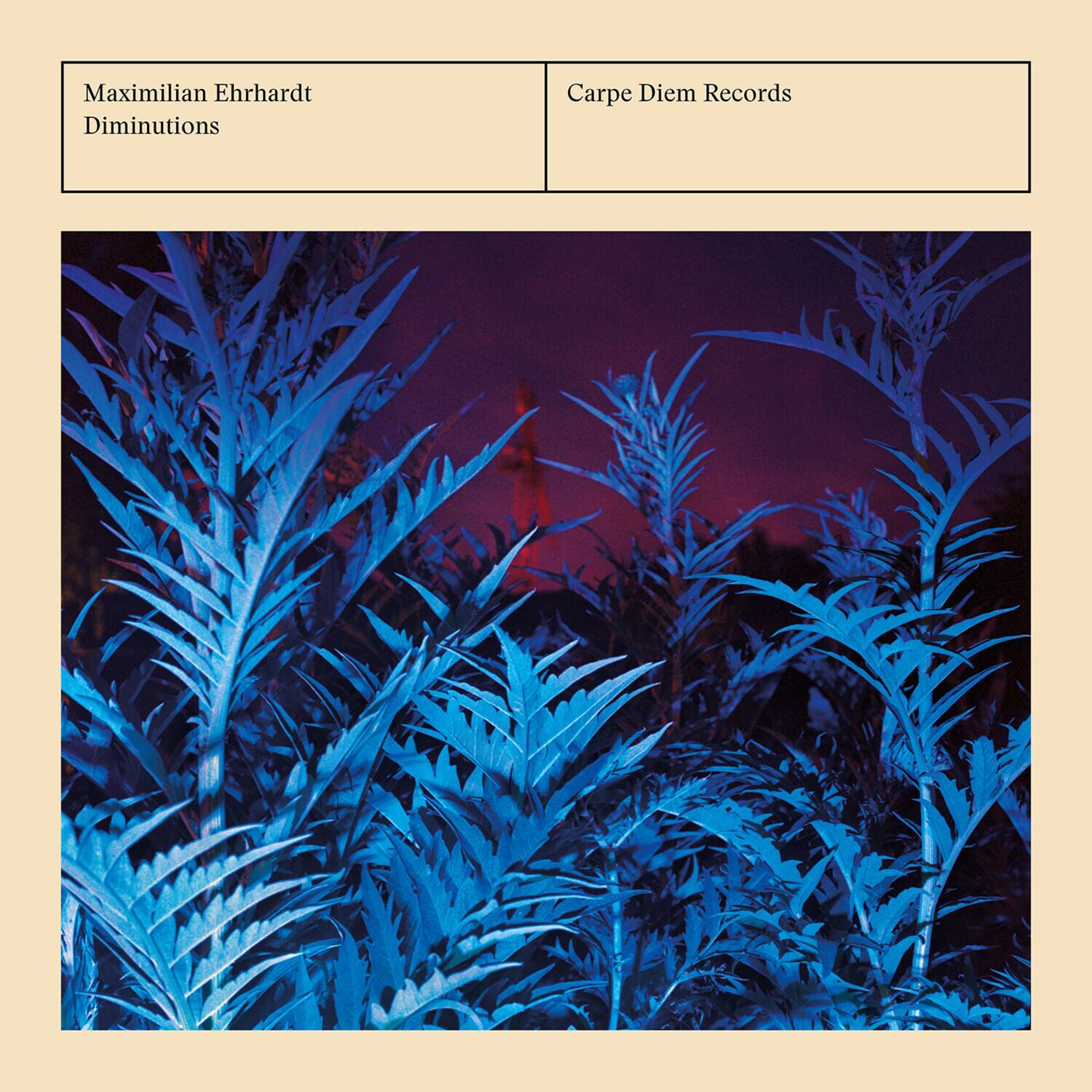Maximilian Ehrhardt  
Diminutions  

Carpe Diem Records
