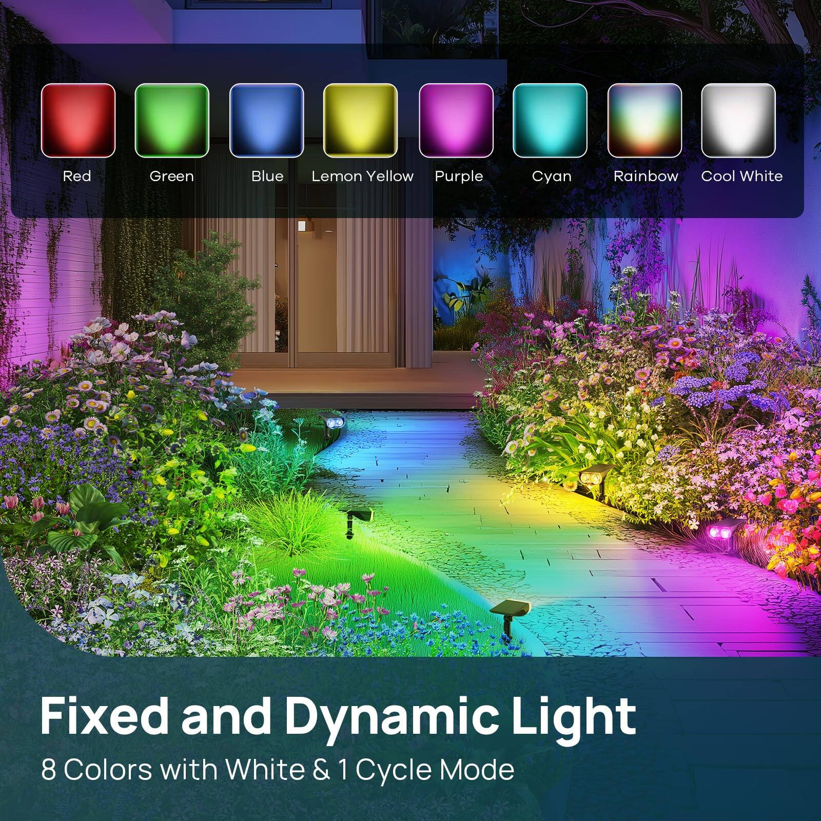 Fixed and Dynamic Light  
8 Colors with White & 1 Cycle Mode  

Red  
Green  
Blue  
Lemon Yellow  
Purple  
Cyan  
Rainbow  
Cool White