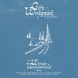 Various Artists - Gift Wrapped Volume 4: Winter Wonderland (Various Artists) - VINYL LP
