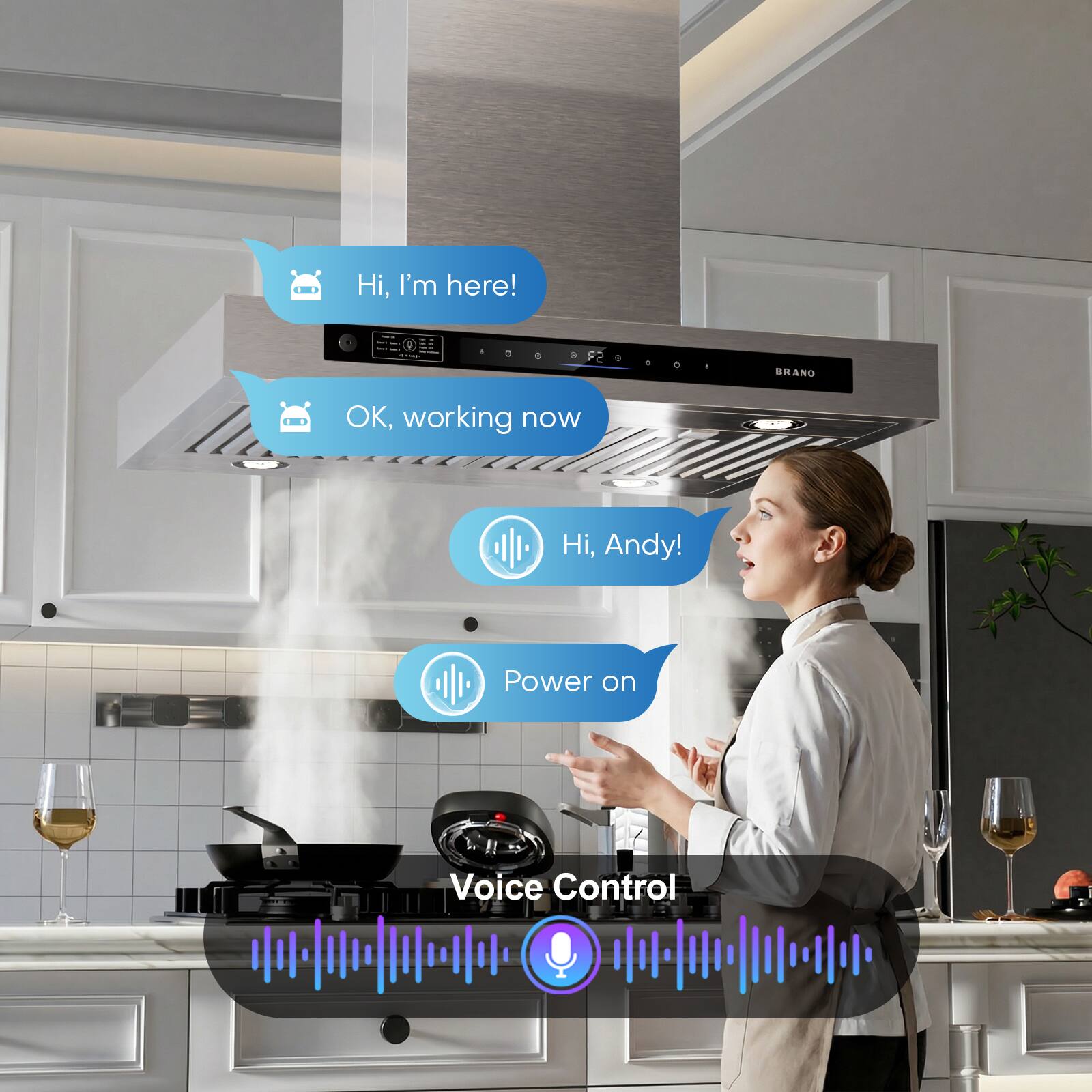 Hi, I'm here!  
OK, working now  
Hi, Andy!  
Power on  
Voice Control