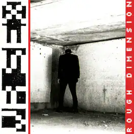 VR SEX - Rough Dimension - VINYL LP