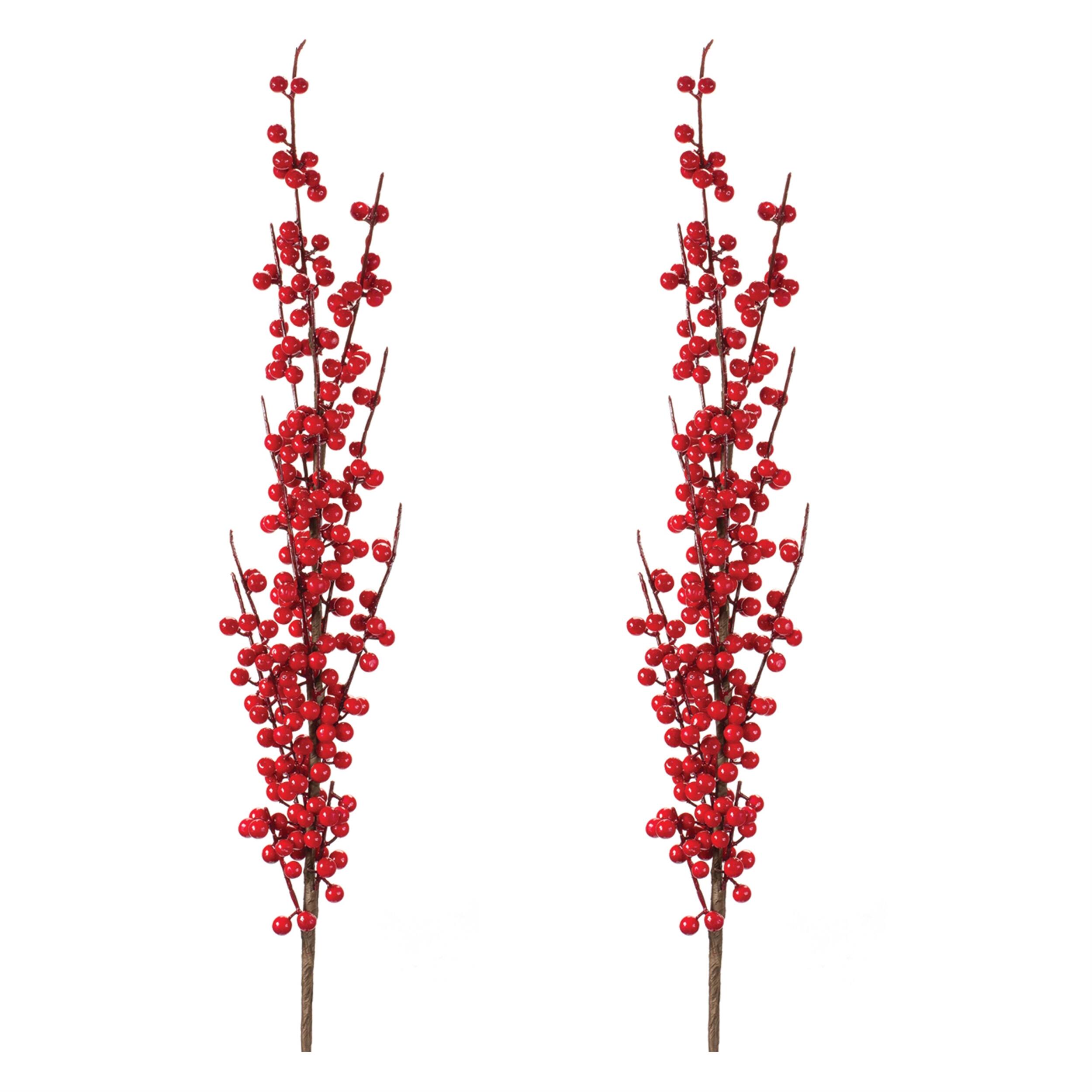 Left. BreeBe - Ilex Berry Stem (Set of 2) - Red.