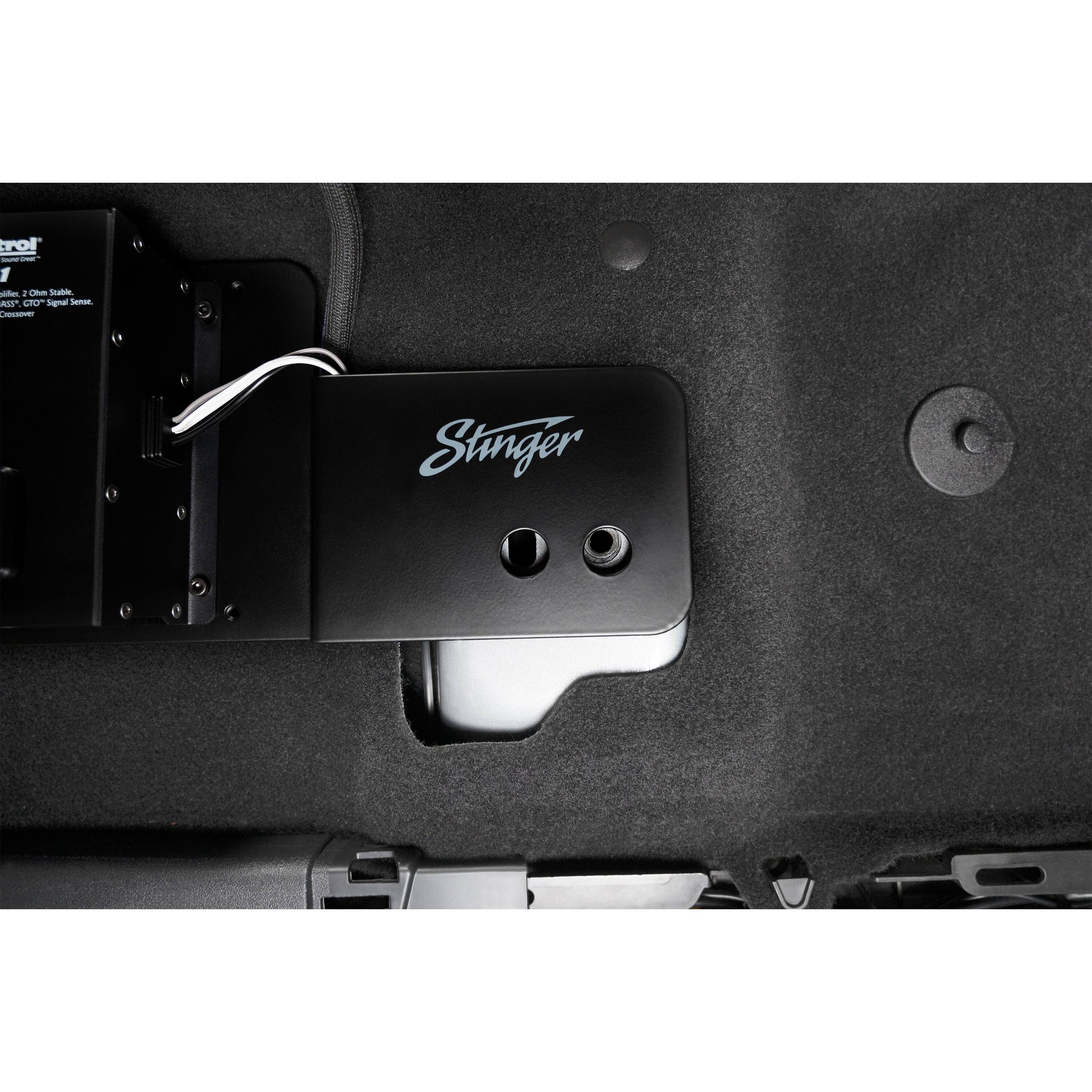 The text on the image reads "Stinger."