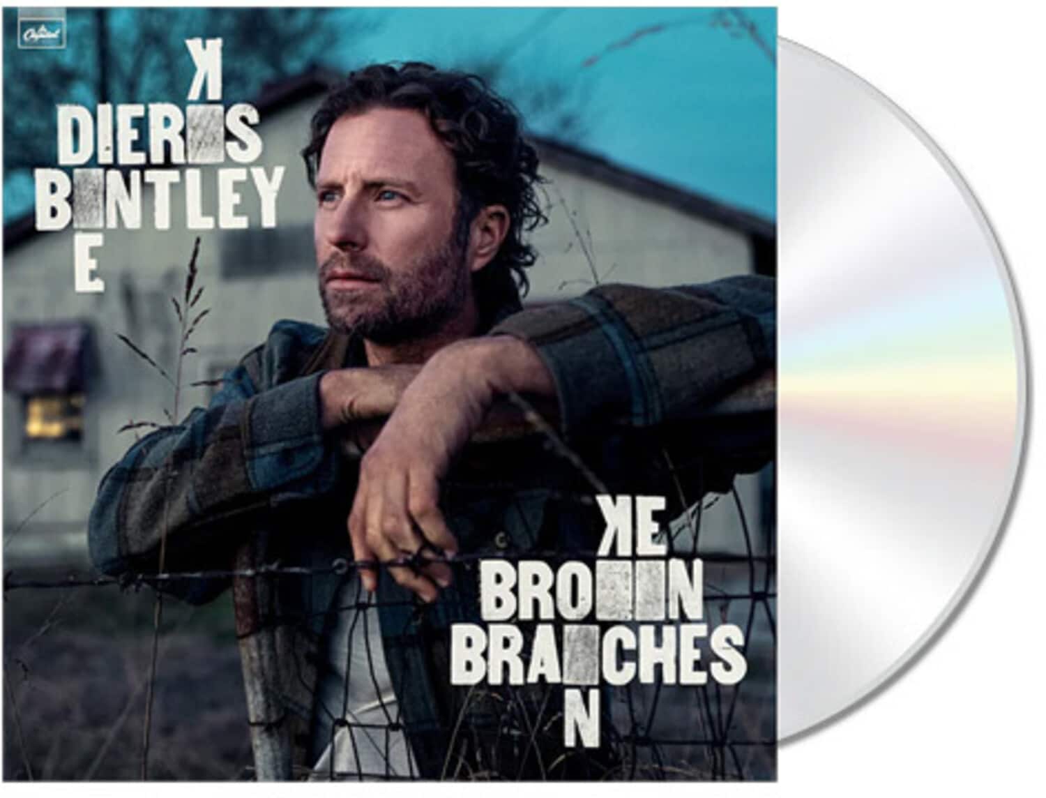 Dierks Bentley - Broken Branches   - COMPACT DISCS [CD] price history on PriceWatchPro