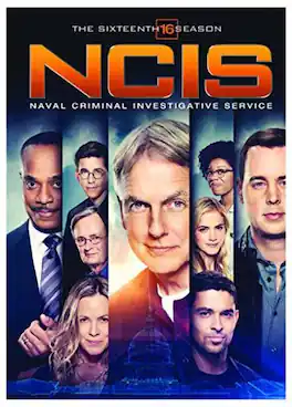 NCIS: Naval Criminal Investigative Service: The Sixteenth Season - DVD