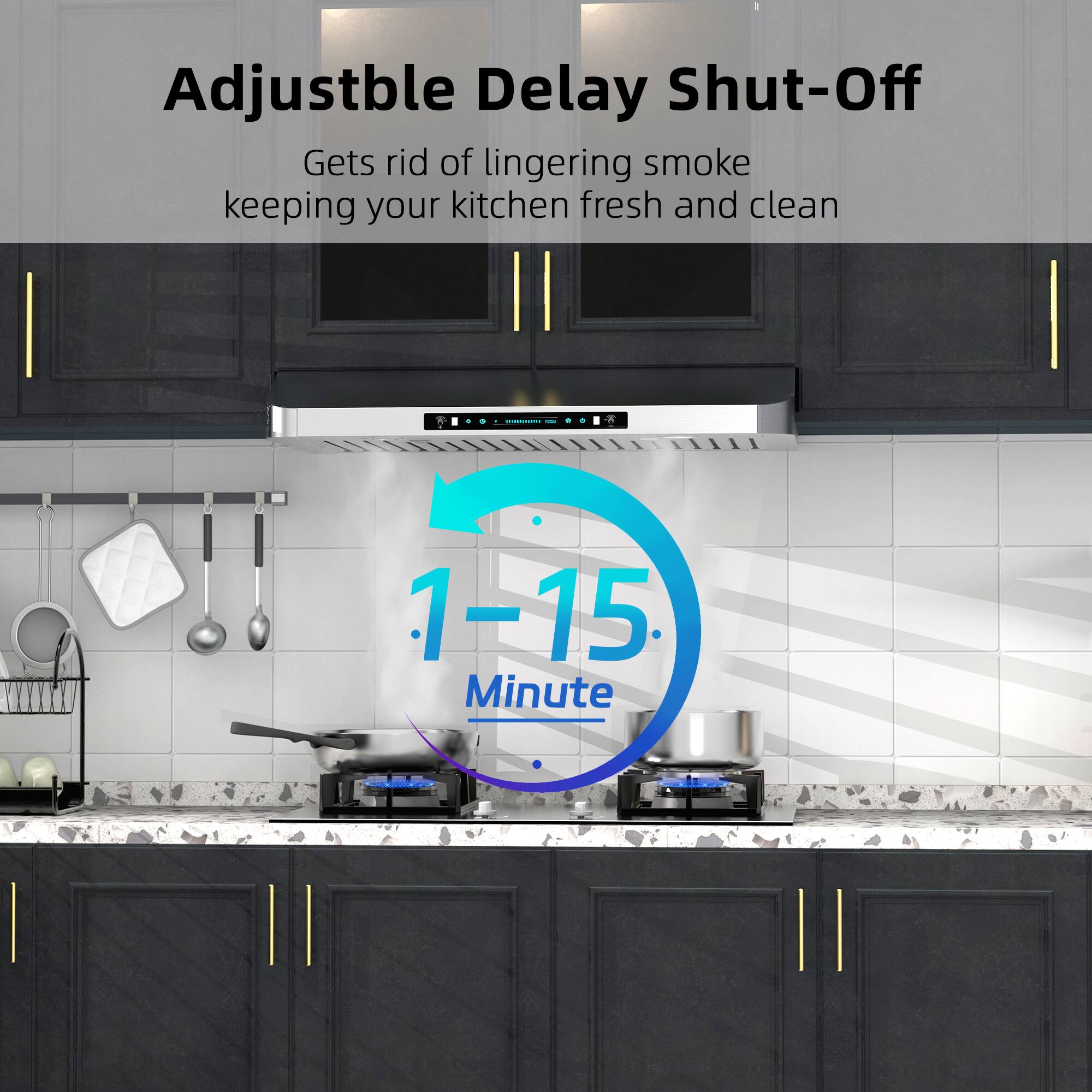 Adjustable Delay Shut-Off  
Gets rid of lingering smoke keeping your kitchen fresh and clean  
1-15 Minute
