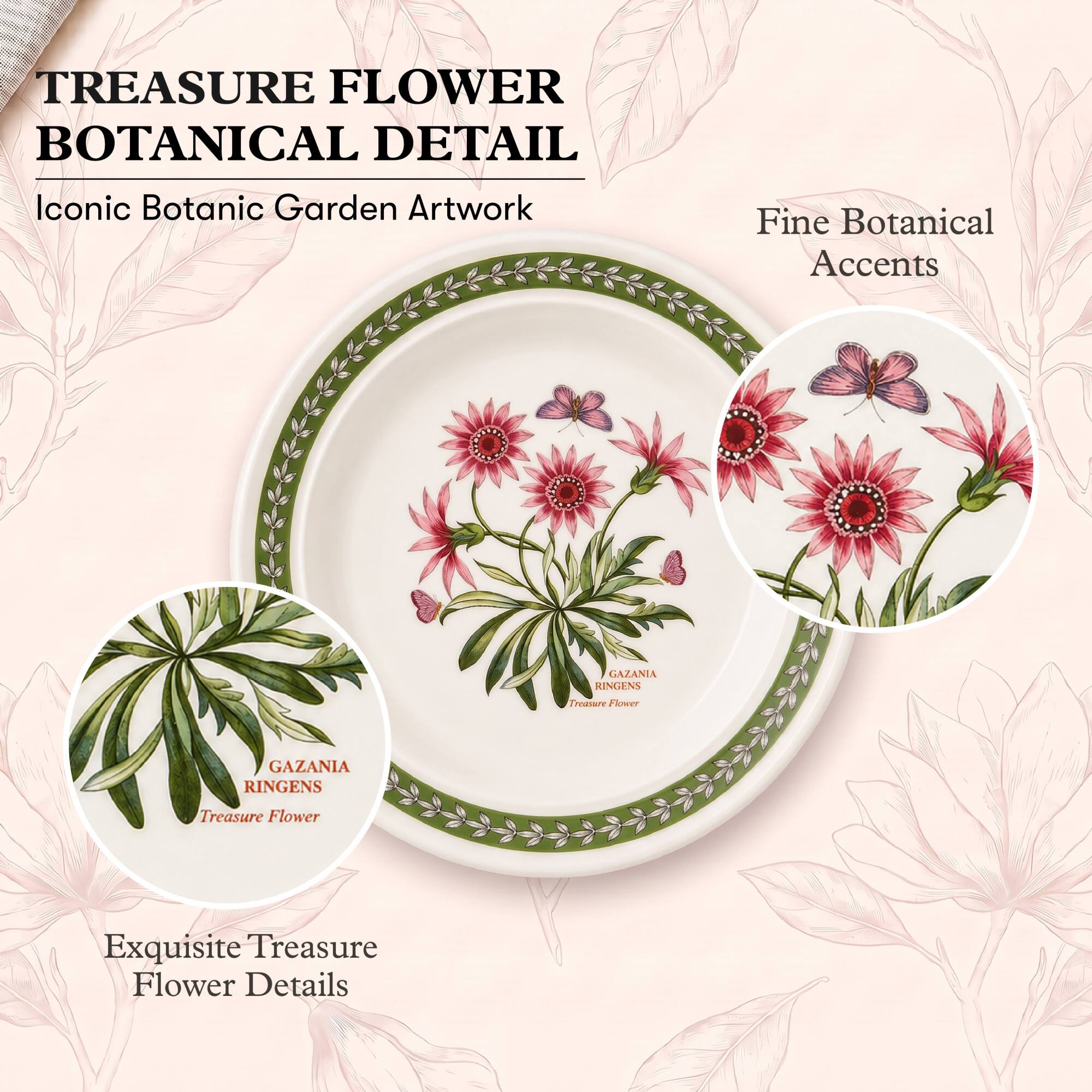 TREASURE FLOWER BOTANICAL DETAIL  
Iconic Botanic Garden Artwork  
Fine Botanical Accents  
GAZANIA RINGENS  
Treasure Flower  
Exquisite Treasure Flower Details