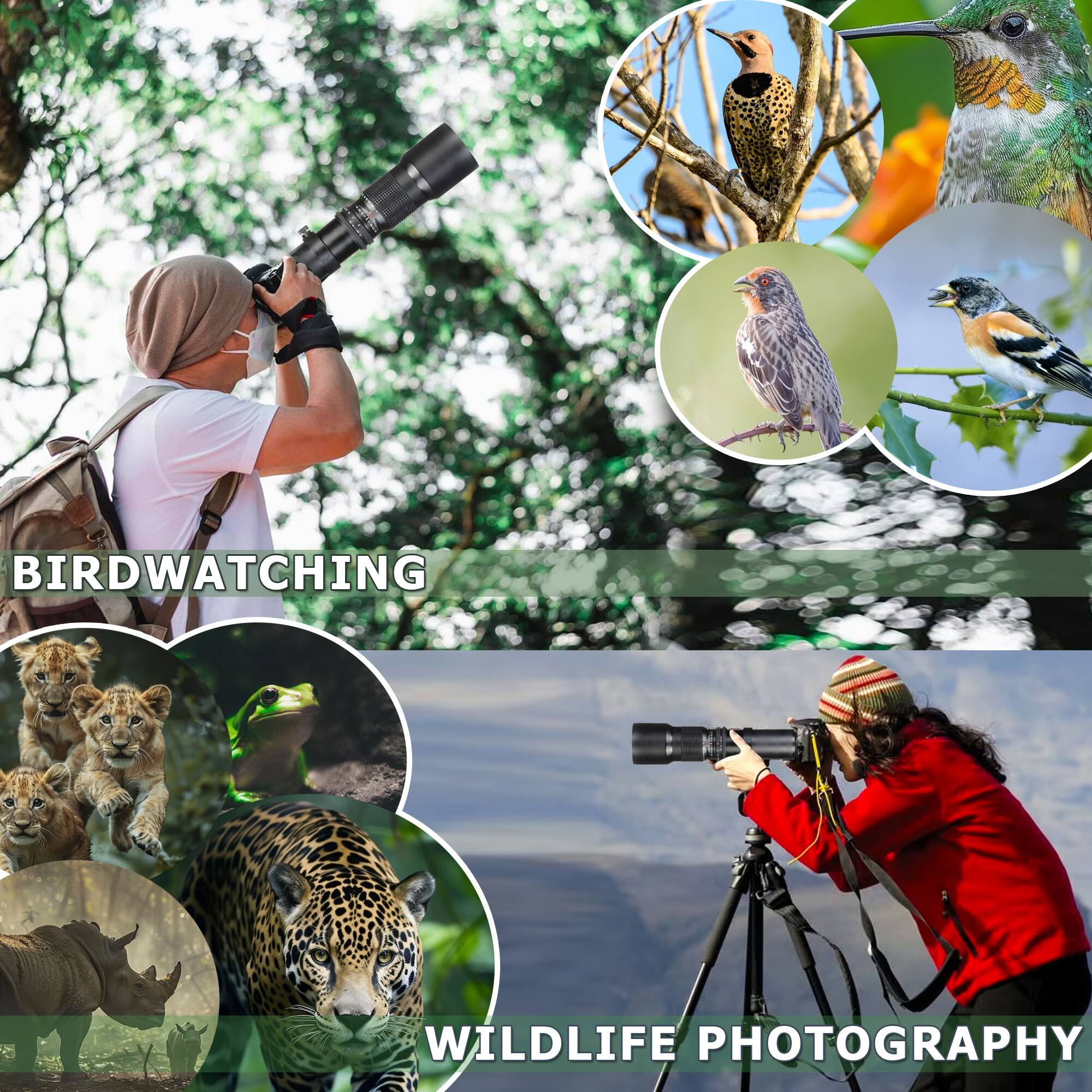 BIRDWATCHING  
WILDLIFE PHOTOGRAPHY