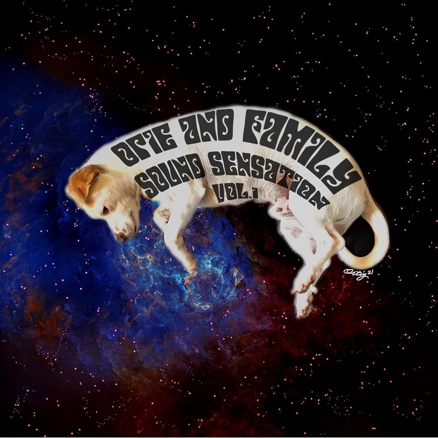 Opie Ortiz - Sound Sensation Vol. 1   - COMPACT DISCS [CD]