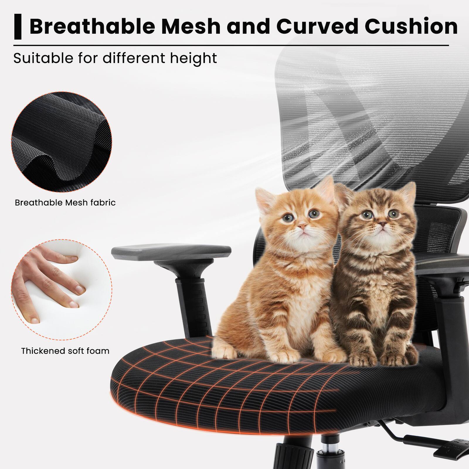Breathable Mesh and Curved Cushion  
Suitable for different height  

Breathable Mesh fabric  
Thickened soft foam