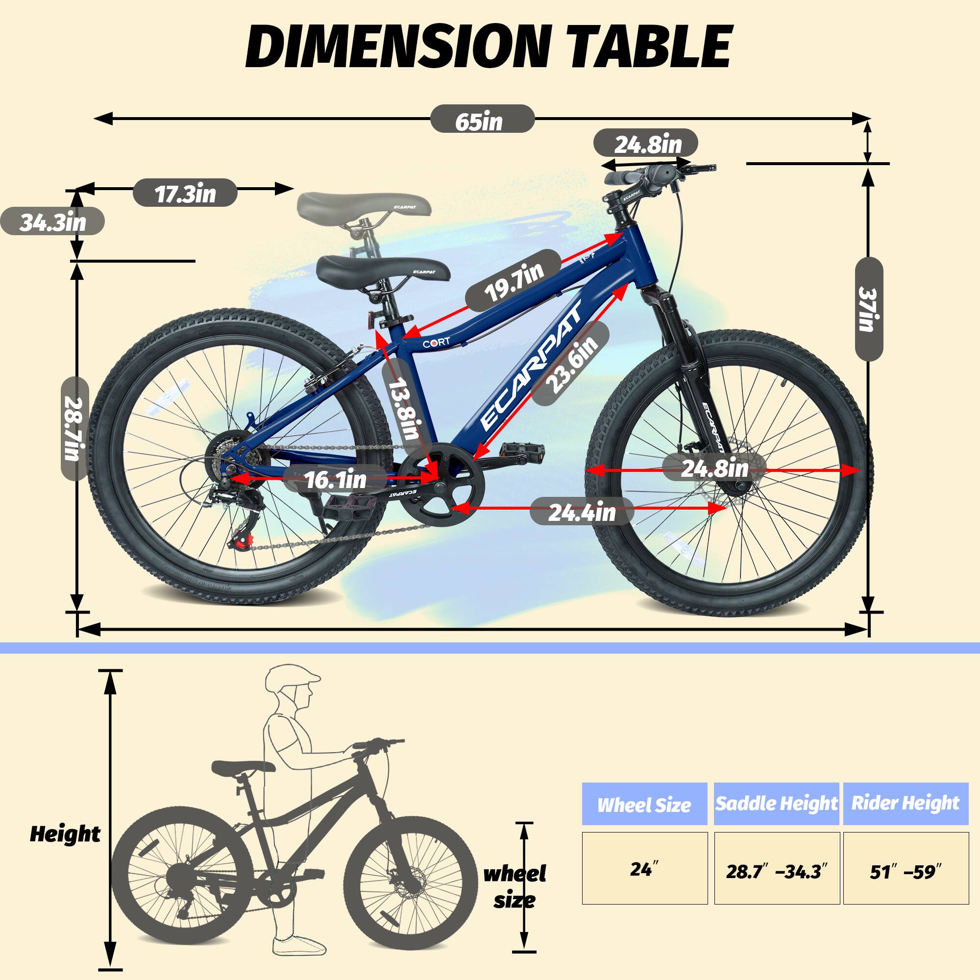 DIMENSION TABLE

65in 24.8in 34.3in 28.7in 17.3in | - 19.7in CORT ECARPAT 23.6in 13.8in 16.1in 24.4in 24.8in 37in

Height wheel size

Wheel Size Saddle Height Rider Height

24" 28.7" -34.3" 51" -59"