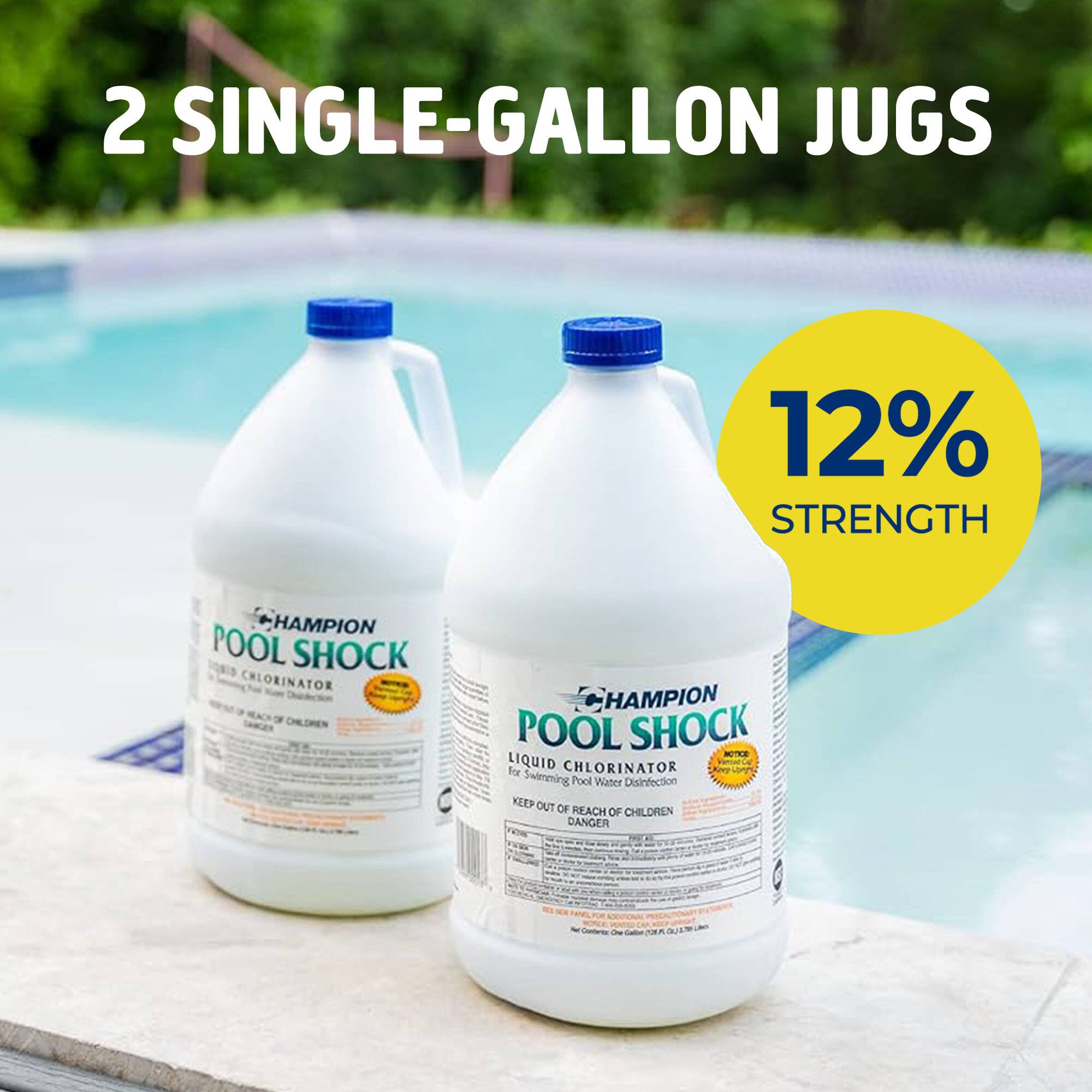 Champion 12.5% Liquid Chlorine Pool Shock - Thumbnail 4