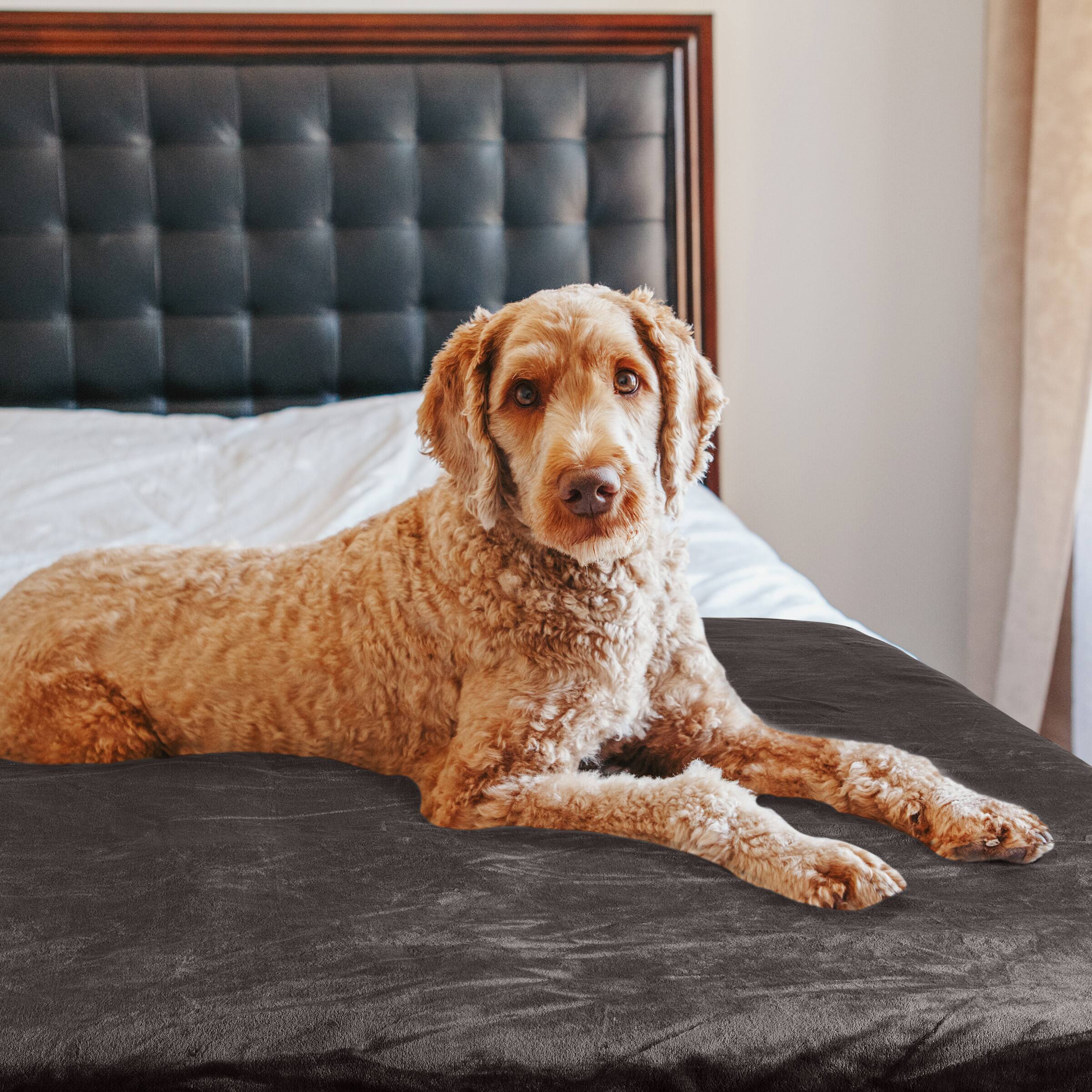 Alt View 1. PetMaker - Water-Resistant Dog Blanket - Charcoal.