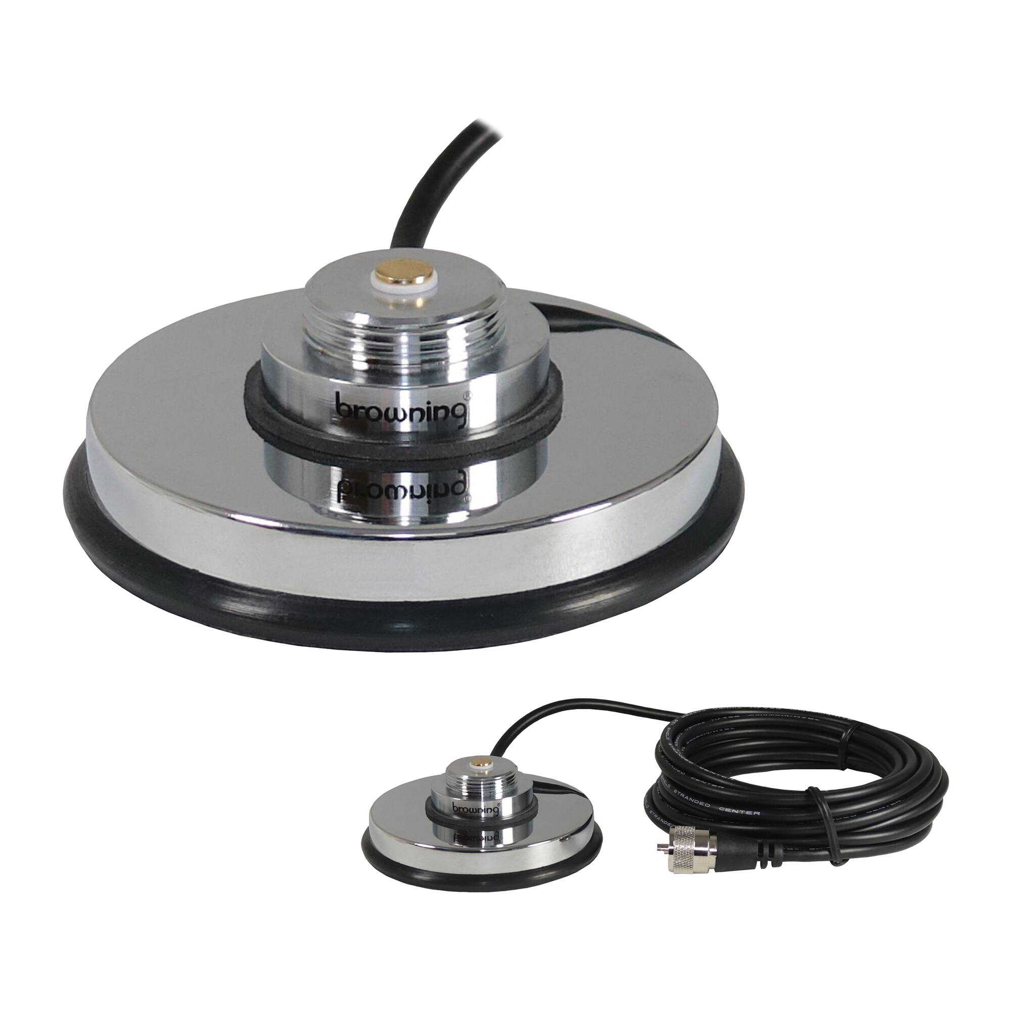 I'm browsing the product. Growing 00 TSANCEO -