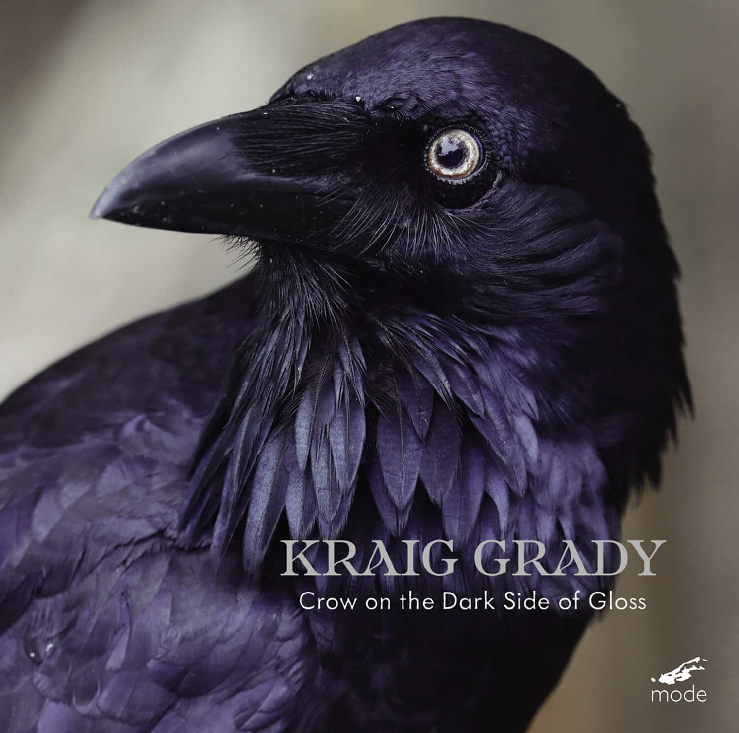 Kraig Grady - Kraig Grady: Crow on the Dark Side of Gloss   - COMPACT DISCS [CD] price history on PriceWatchPro