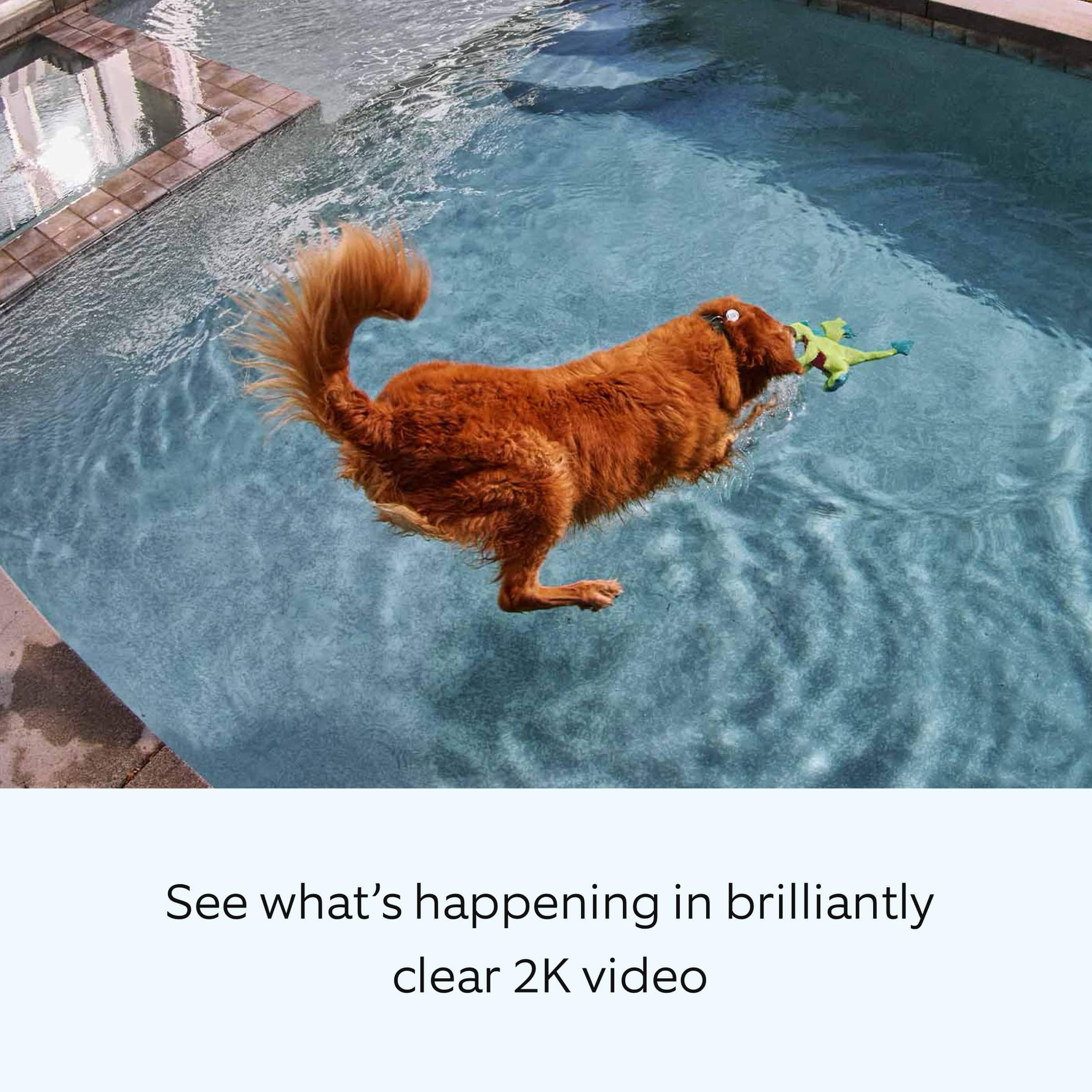 See what's happening in brilliantly clear 2K video.