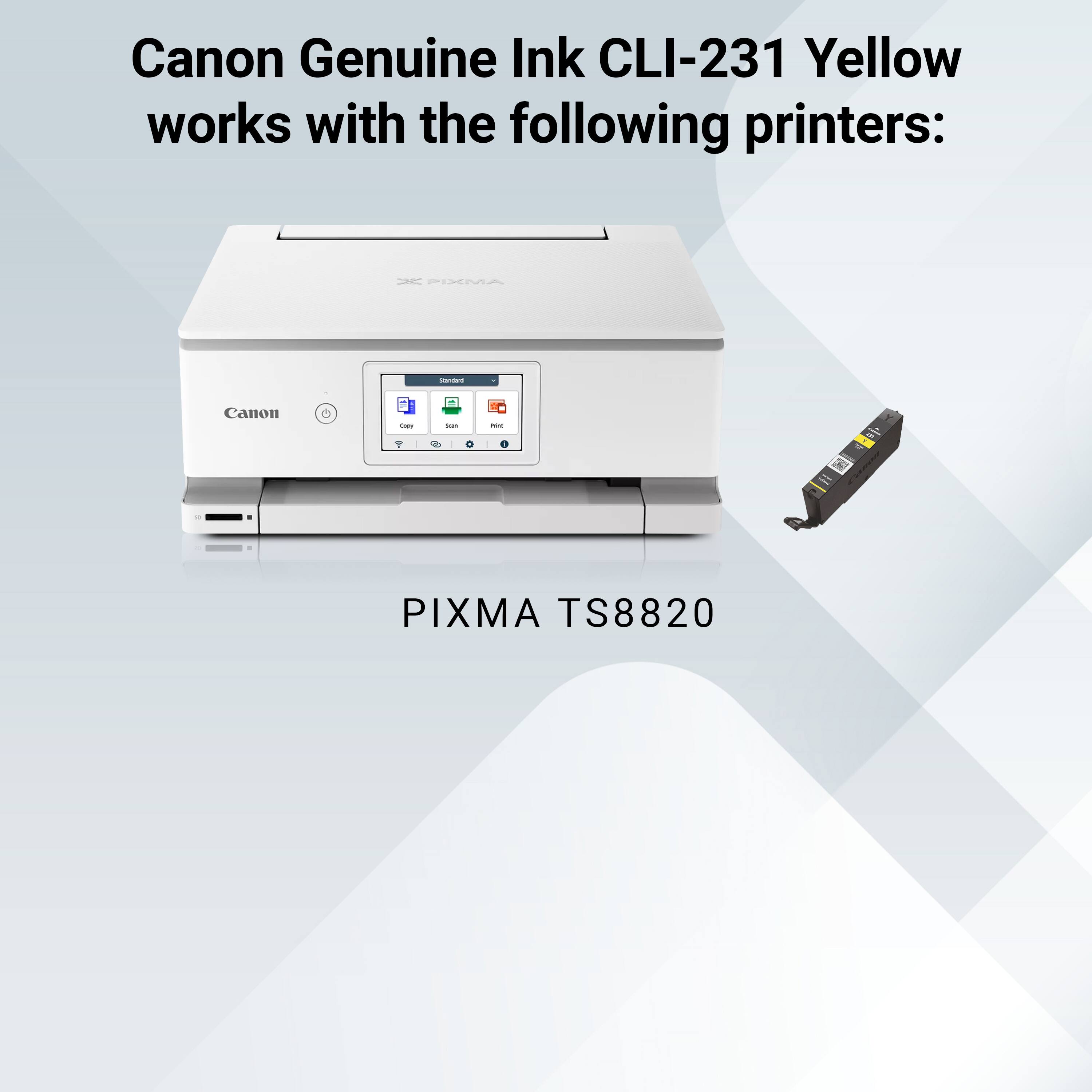 Canon Genuine Ink CLI-231 Yellow works with the following printers:

- PIXMA TS8820