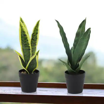 Front. Oumilen - 2PCS Decorative Artificial Potted Plants, Small Fake Plants with Realistic Leaves, Faux Bonsai for Outdoor, Yard, Patio.