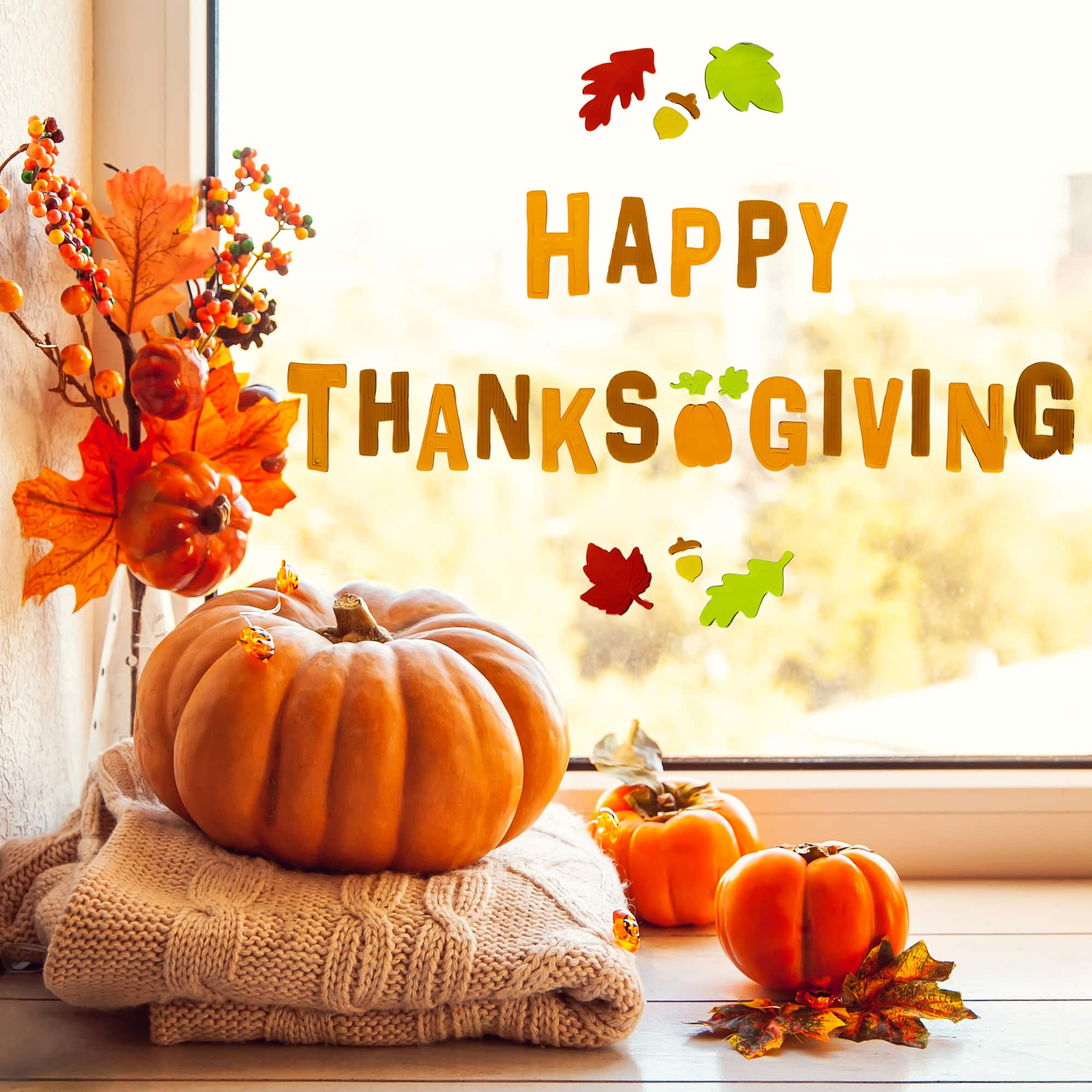 Northlight - Happy Thanksgiving Autumn Gel Window Clings - Set of 24 - Orange