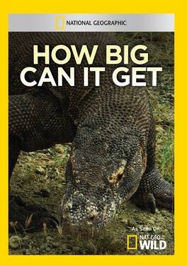 How Big Can It Get - DVD