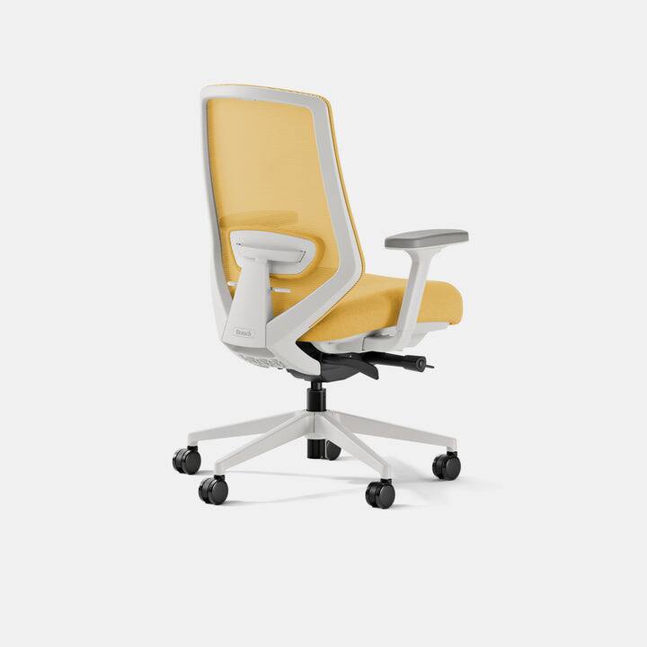 Left. Branch Furniture - Ergonomic Chair Pro – Premium Office Seating with 14 Points of Adjustment & Dynamic Lumbar Support - Black / Black.