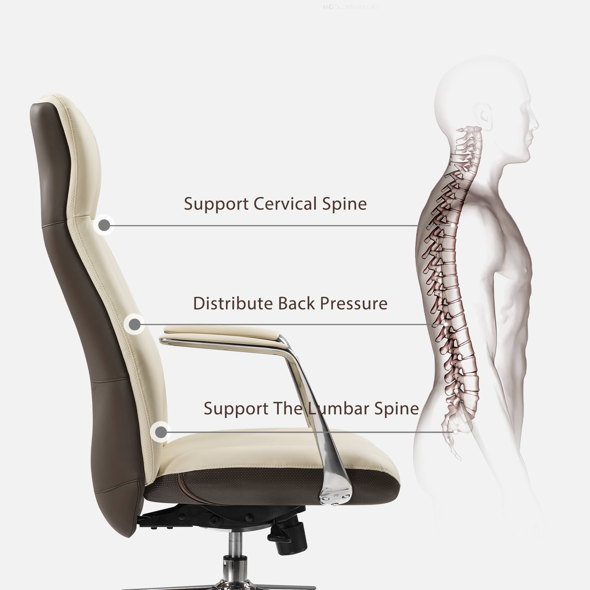 MOITO Support Cervical Spine Distribute Back Pressure Support The Lumbar Spine