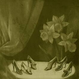 Alice Cohen - Into The Grey Salons - VINYL LP