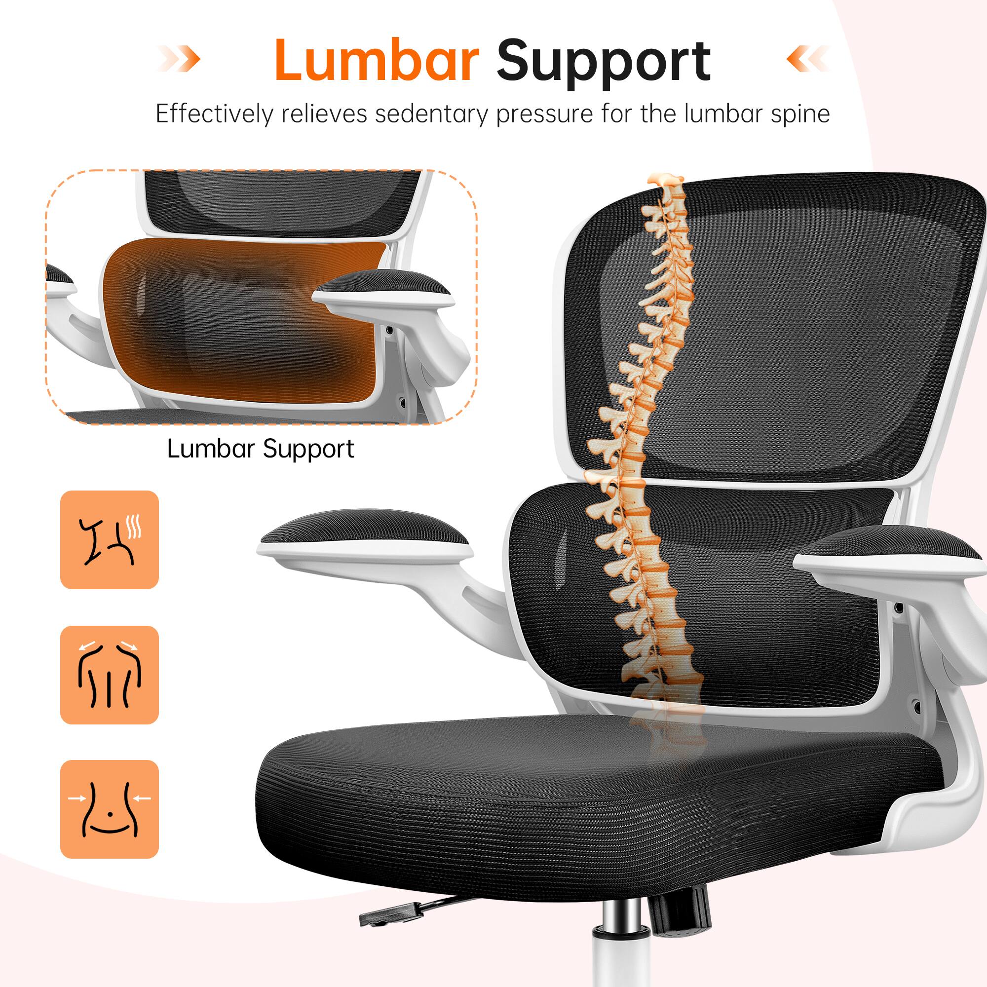 Lumbar Support  
Effectively relieves sedentary pressure for the lumbar spine