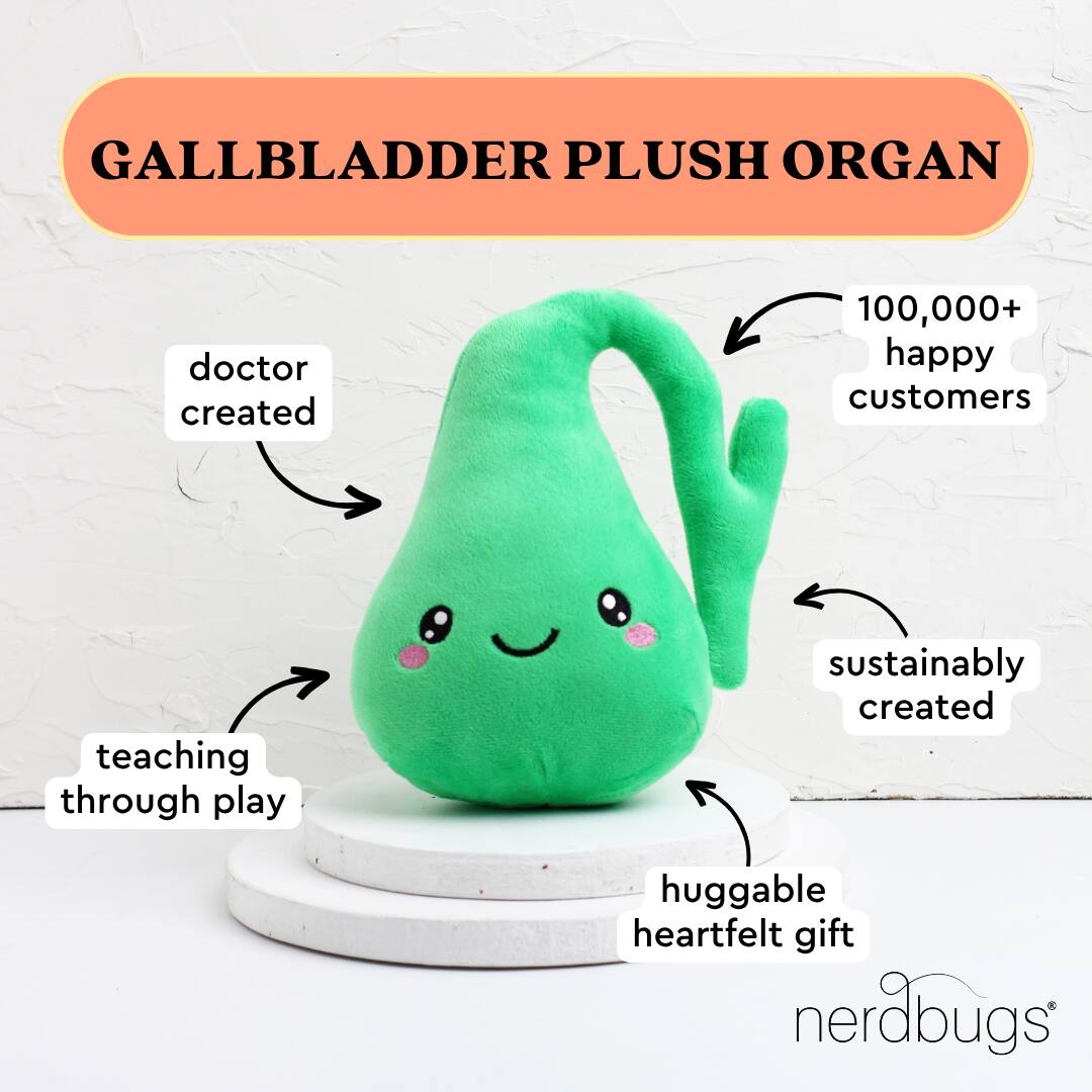 GALLBLADDER PLUSH ORGAN

- doctor created
- teaching through play
- sustainably created
- huggable heartfelt gift
- 100,000+ happy customers

nerdbugs®
