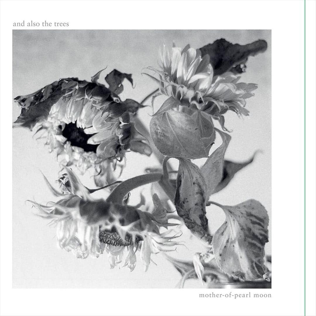 Mother-of-Pearl Moon [LP] [VINYL] price history on PriceWatchPro