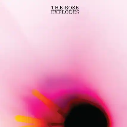 THE ROSE EXPLODES