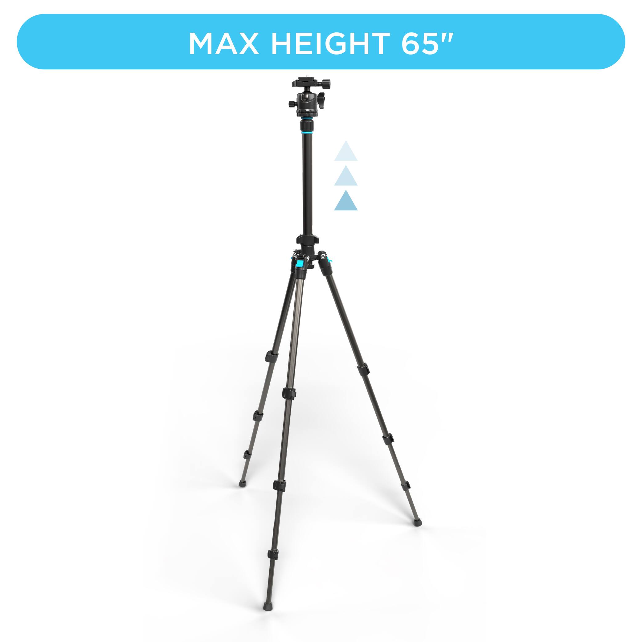 MAX HEIGHT 65"