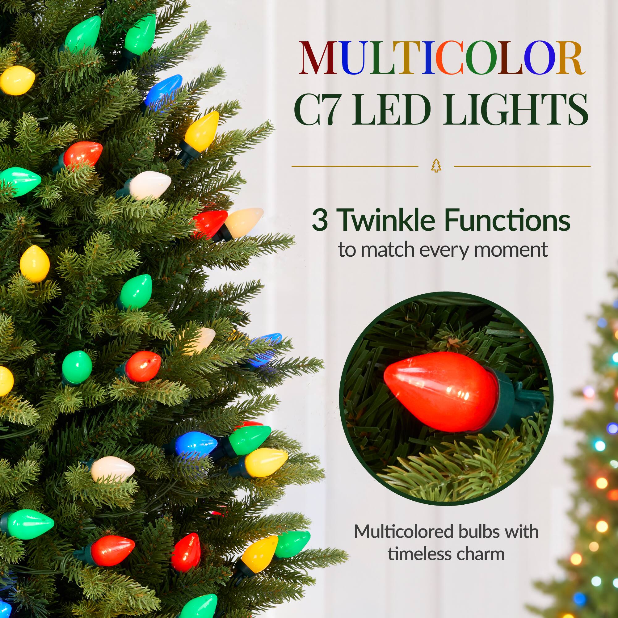 MULTICOLOR C7 LED LIGHTS

3 Twinkle Functions to match every moment

Multicolored bulbs with timeless charm