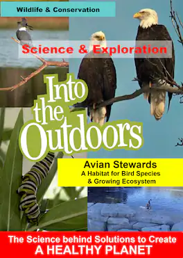 Avian Stewards - A Habitat for Bird Species & Growing Ecosystem - DVD