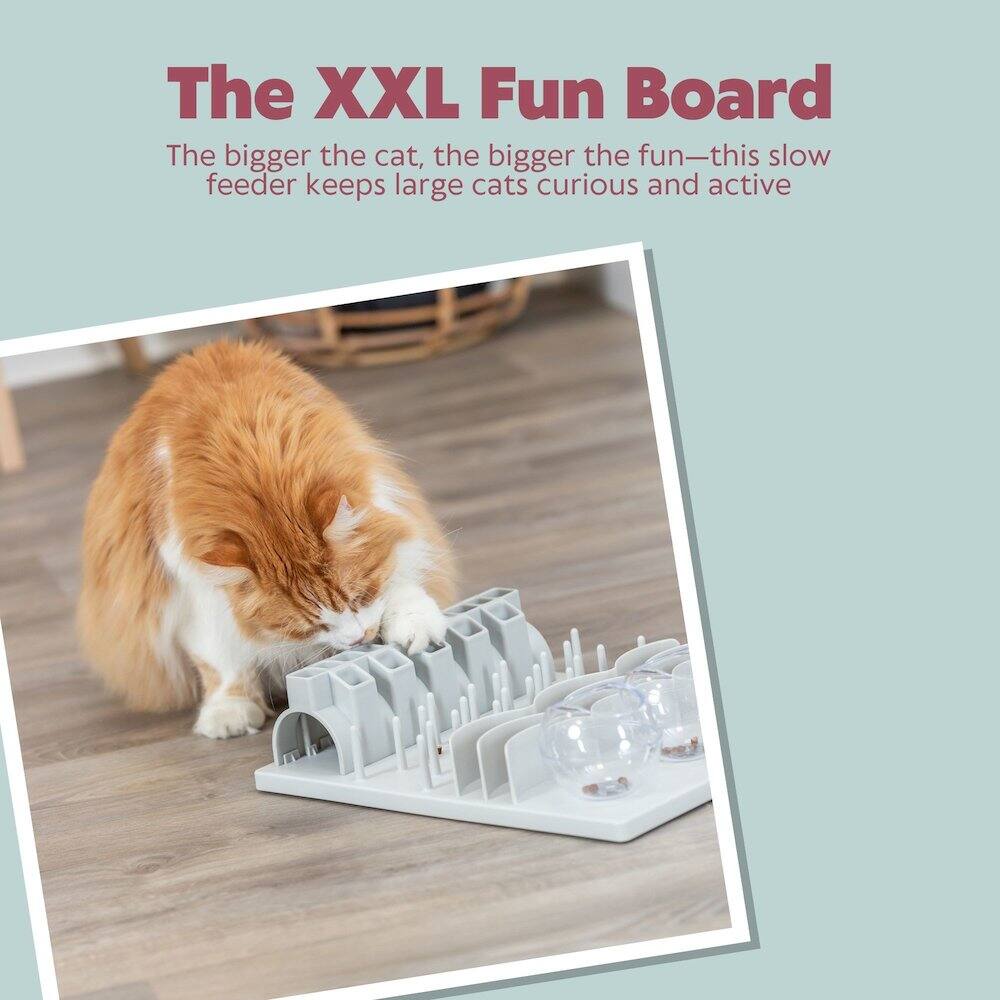 The XXL Fun Board

The bigger the cat, the bigger the fun—this slow feeder keeps large cats curious and active