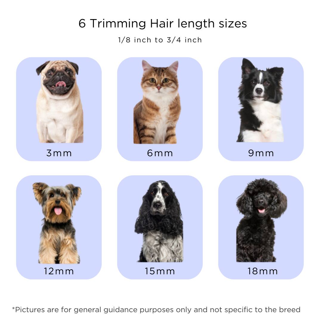 6 Trimming Hair length sizes  
1/8 inch to 3/4 inch  

3mm  
6mm  
9mm  
12mm  
15mm  
18mm  

*Pictures are for general guidance purposes only and not specific to the breed