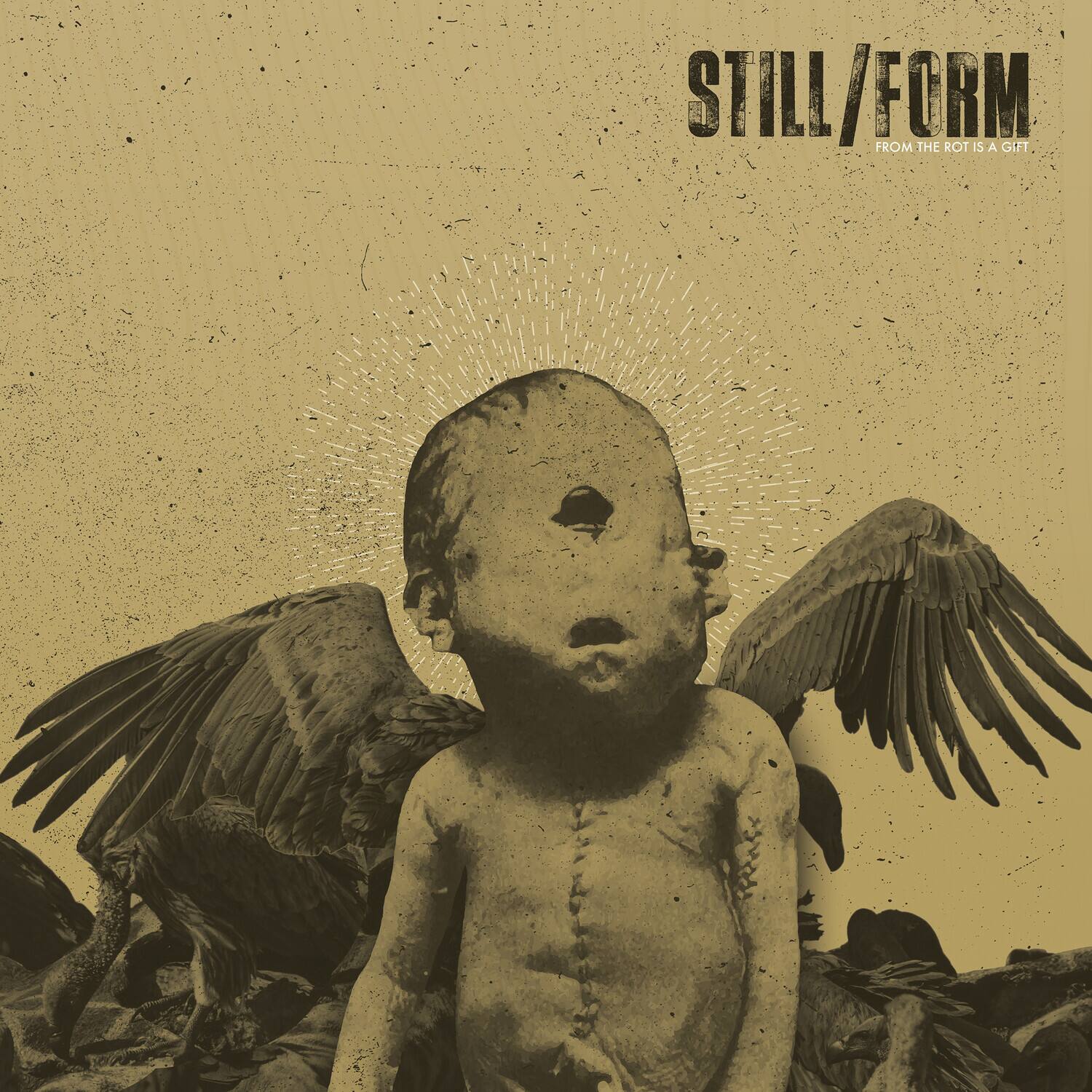STILL/FORM  
FROM THE ROT IS A GIFT