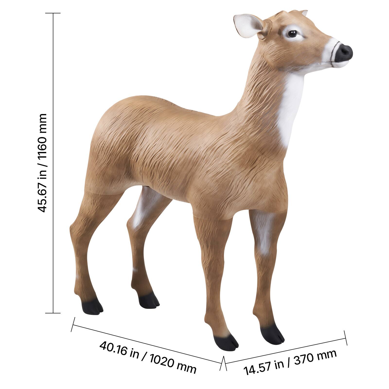 45.67 in / 1160 mm  
40.16 in / 1020 mm  
14.57 in / 370 mm