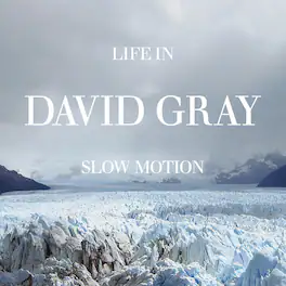 David Gray - Life in Slow Motion (20th Anniversary Edition) Blue - VINYL LP